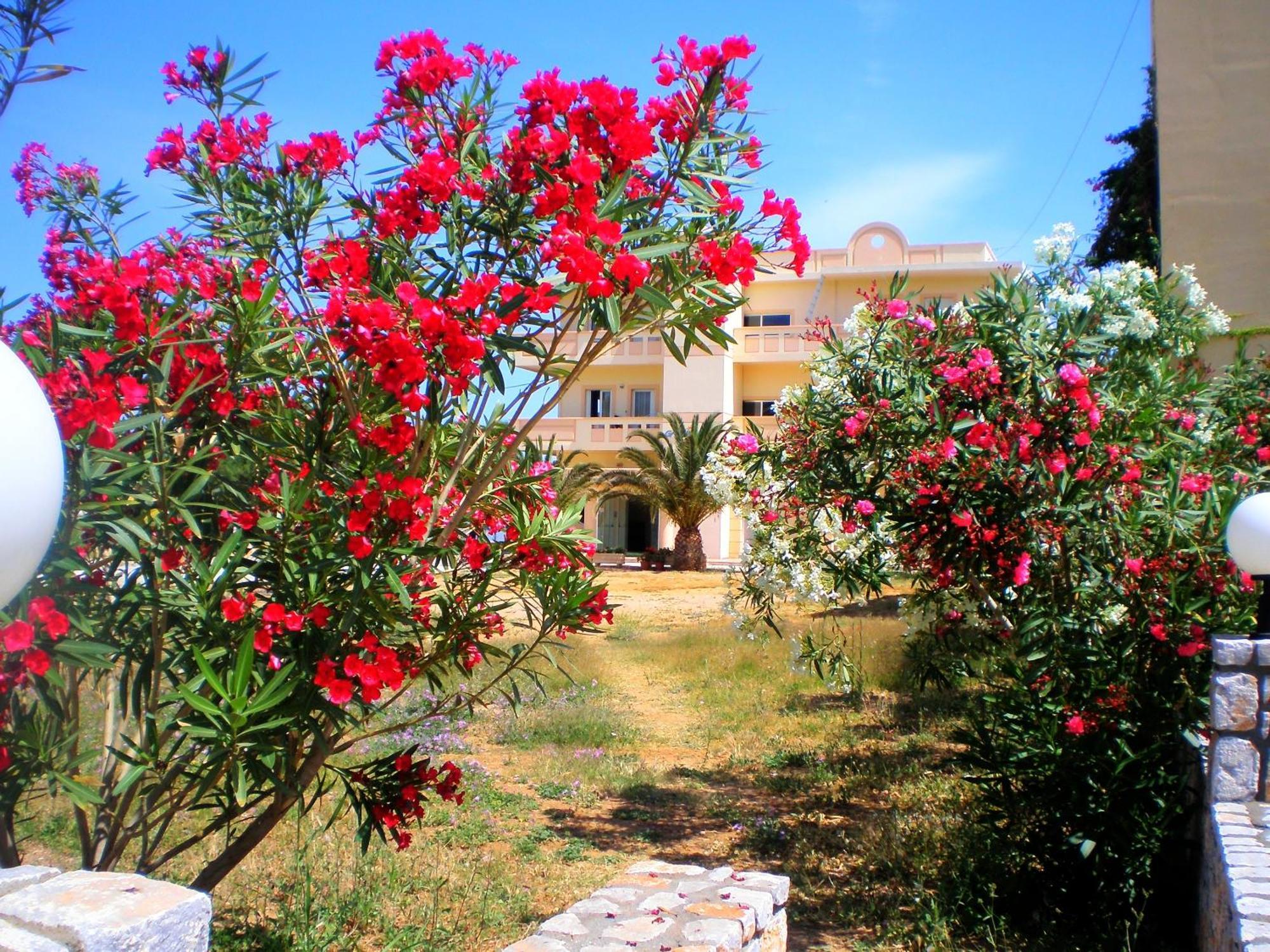 Galini Beach Hotel Kíssamos Exteriér fotografie
